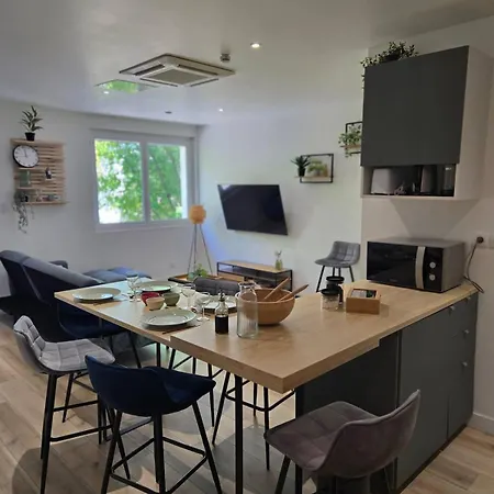 Apartment T5 Climatise 4 Avec Parking - Eurexpo