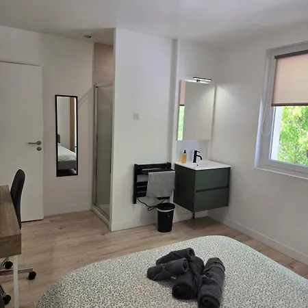 Apartment T5 Climatise 4 Avec Parking - Eurexpo Saint-Priest (Rhone)