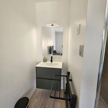 T5 Climatise 4 Avec Parking - Eurexpo Apartment